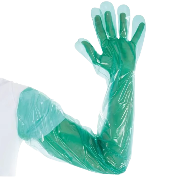 Disposable Plastic Gloves